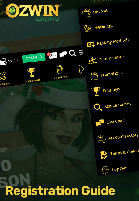 Information about Your Personal Ozwin Casino Account
